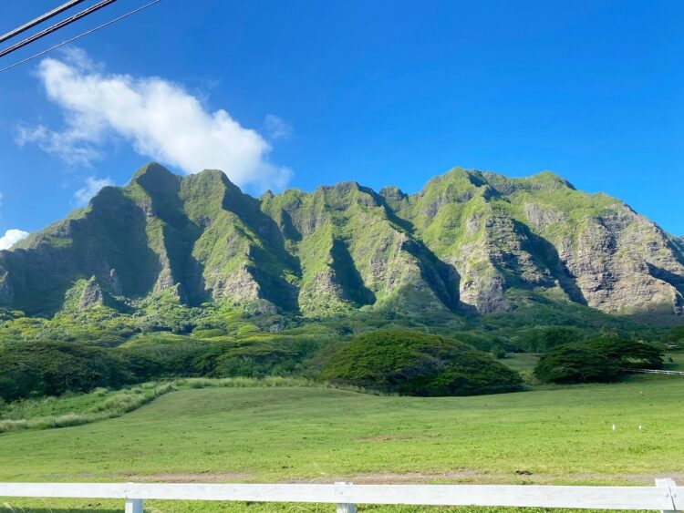 ハワイのよい気を感じたい！というハワイロスの日本人が多数。