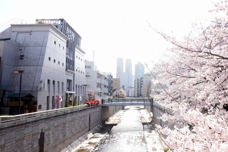 当時の神田川は「世界一の都市」といわれた江戸の生活を支えていた