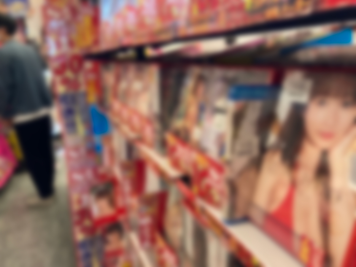 AV新法成立でも終わらぬ議論 知識人4人が考える「AVの今と未来」｜NEWSポストセブン