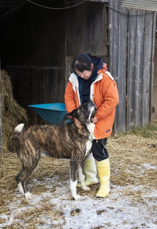 体躯の大きな犬も相手する河崎氏