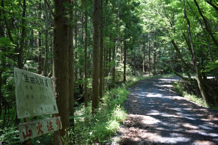 女性の遺体が見つかった山林に続く林道（時事通信フォト）