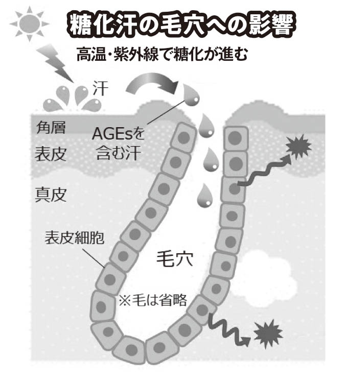 糖化汗も毛穴に影響する