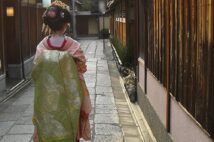 京都の街を歩く舞妓のイメージ(写真/イメージマート)