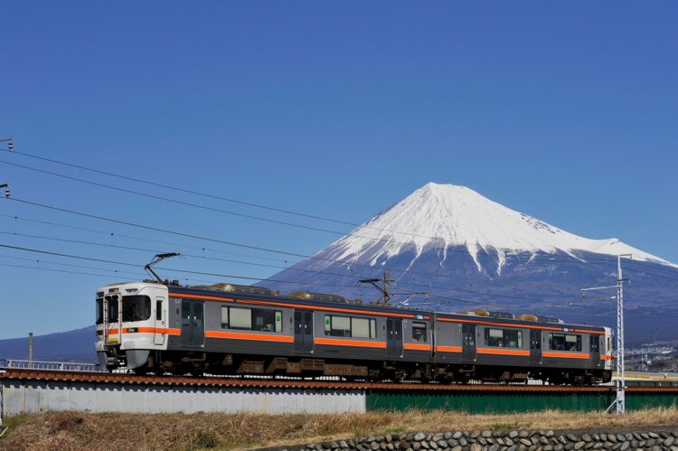 身延線の車窓からは富士山の絶景が存分に楽しめる（提供／JR東海）