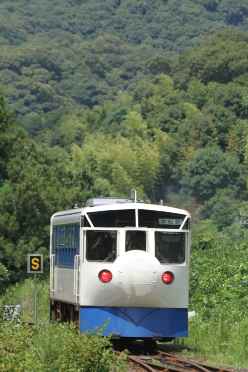 四万十川沿いに走る