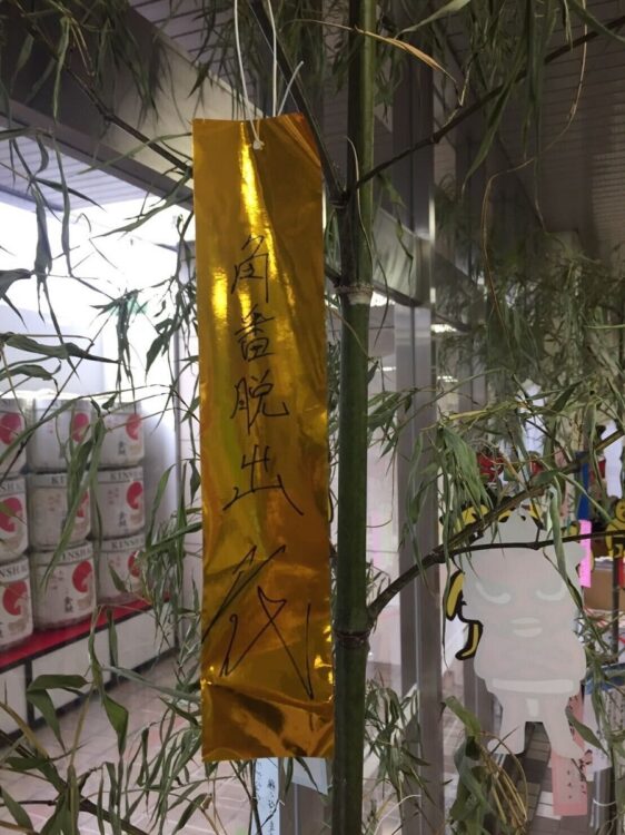 大関・正代は角番脱出なるか微妙な状況だが……