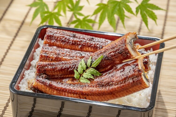夏場に鰻を食べる習慣は江戸中期から始まったといわれる