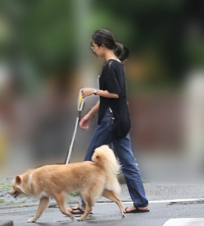 連れている犬は尻尾がふさふさ