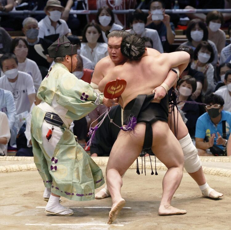 名古屋場所中日、照ノ富士と若元春の一番でまわし待ったをかける式守伊之助（共同通信社）