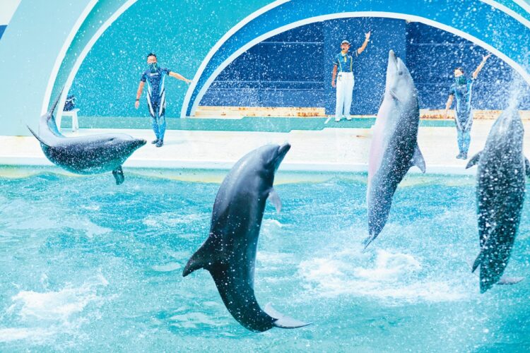 動物とスタッフたちの見えざる奮闘