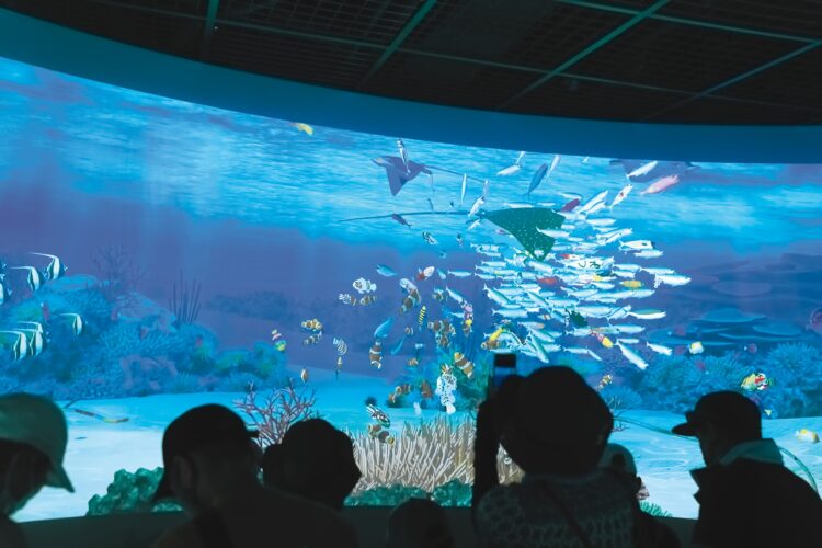 タブレット端末に描いた魚がスクリーンに映し出される。自分で色付けした魚を泳がせるバーチャル水槽は子供たちに人気だ