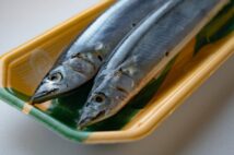 サンマ初競りは「1匹1万円」の異常事態 ニッポンの食卓から「庶民の魚」が消える日