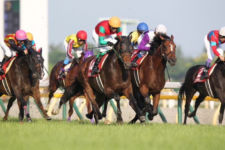 8番人気で勝ち、馬連が2万馬券となった2014年6月1日の最終レース目黒記念。この日は10レースのダービーが1番人気2着。11レースでも1番人気で7着だった（写真／JRA）