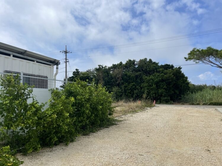 左側の建物が犬猫保護施設「宮古島セーブザアニマルズ」。