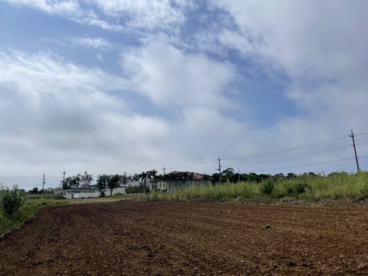 別角度から見た全景。左奥が保護施設。手前の土地も、宮古島セーブザアニマルズの活動に賛同する人が5月に購入し整地が始まった。