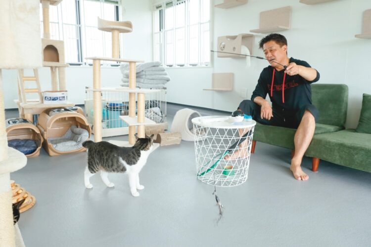 現在は行き場所を失った動物たちの保護に注力