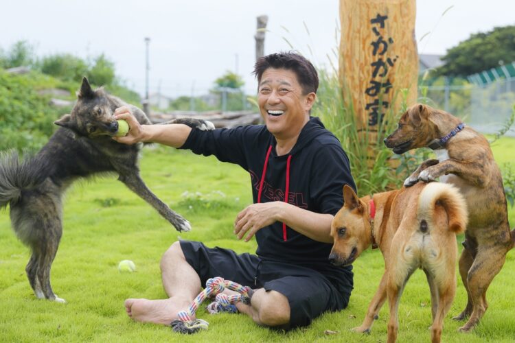 緑の絨毯の上でたくさんの犬たちと