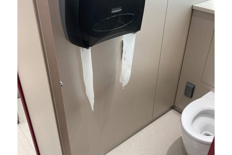 破れたトイレットペーパー