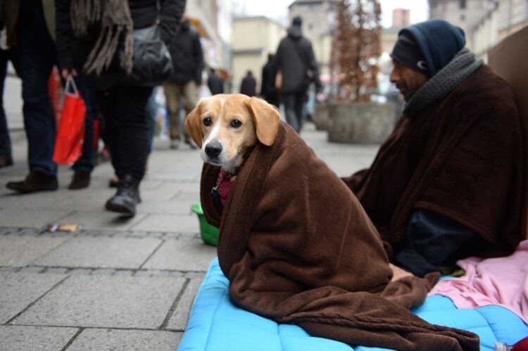 犬を連れたホームレス。小銭を入れてもらうための容器も（イメージ、dpa/時事通信フォト）