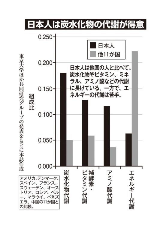 日本人は炭水化物の代謝が得意
