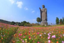 大仏写真家が選ぶ「インパクトのある大仏」ランキング15 季節によって変わる姿も魅力