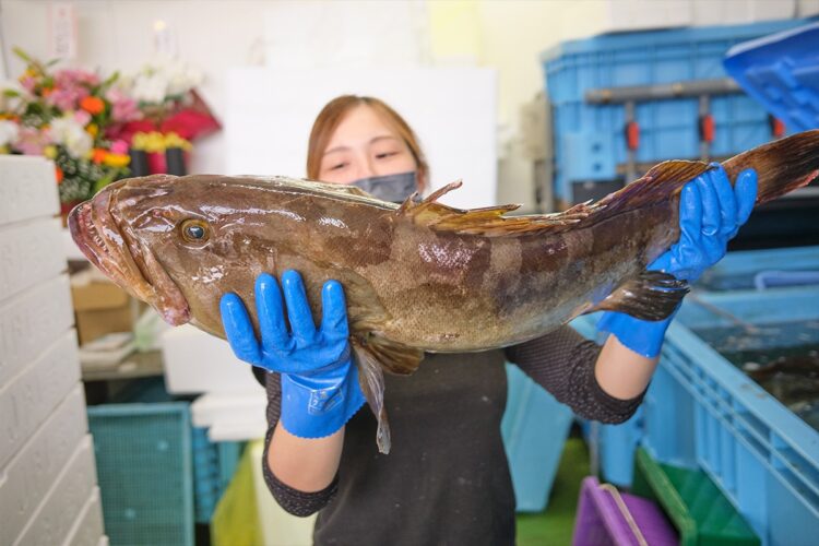 『はまだお魚市場』で見せてもらった巨大クエ