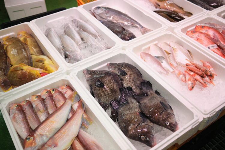 『はまだお魚市場』内には魚、魚、魚！
