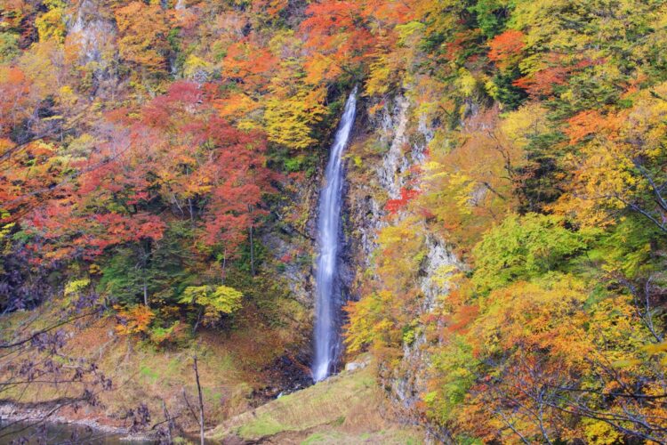 （写真／アフロ）