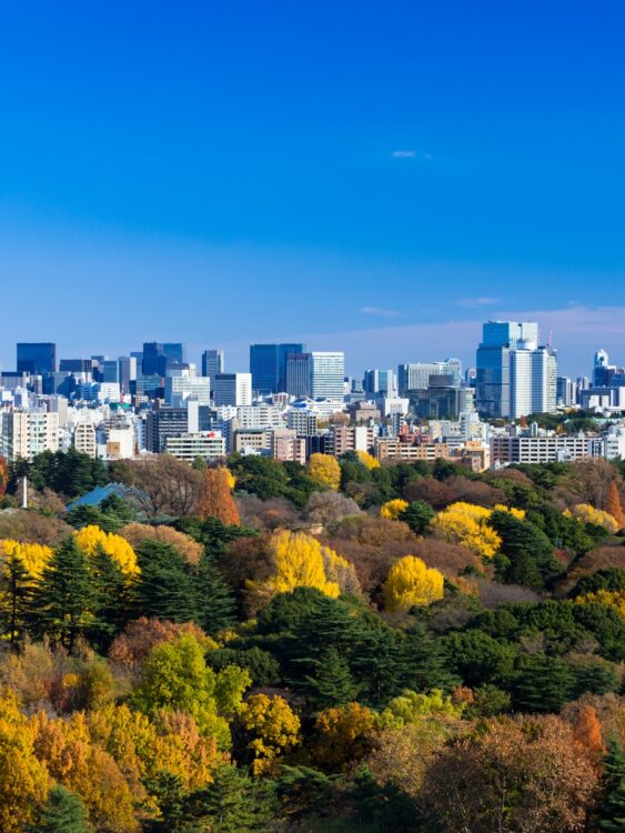 （写真／アフロ）