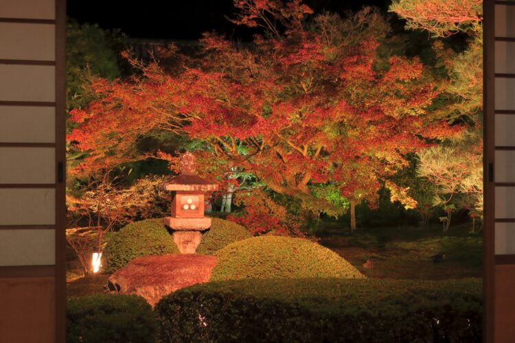 （写真／アフロ）