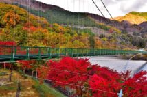 もみじ谷大吊橋