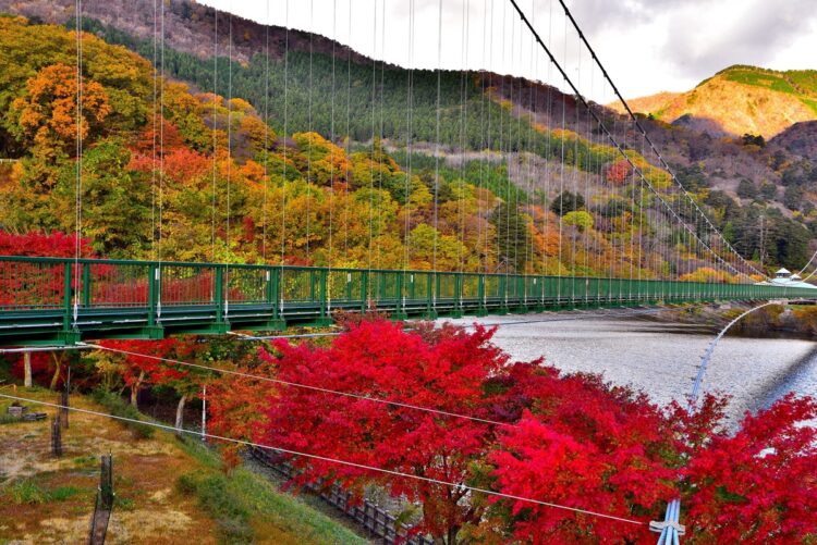 もみじ谷大吊橋