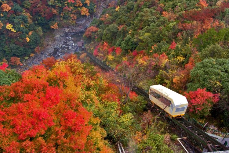 徳島県の祖谷