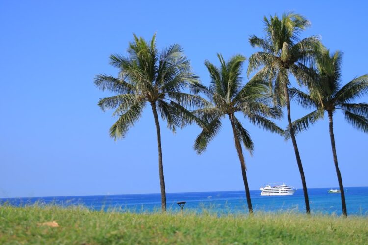 ハワイでは、そこに座るだけで美しい景色を堪能できる場所がたくさんある