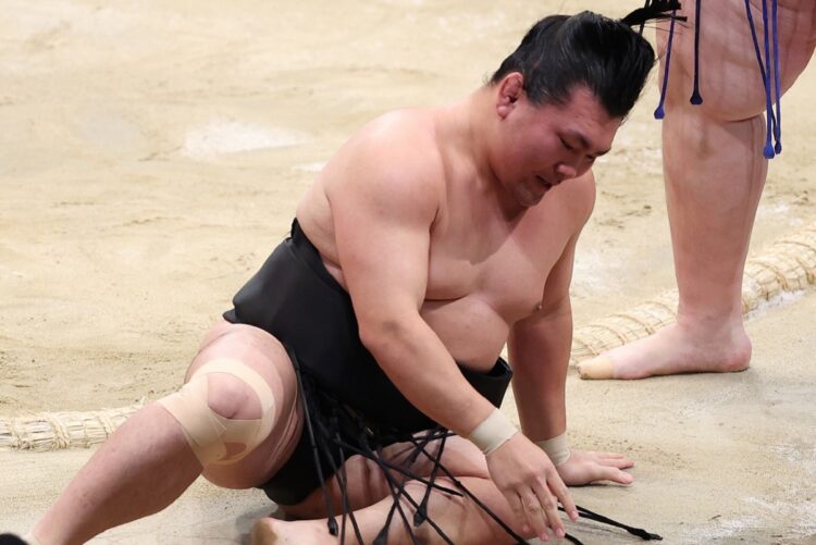 大相撲の歴史上でも珍しい15戦全敗を喫してしまった照強（時事通信フォト）