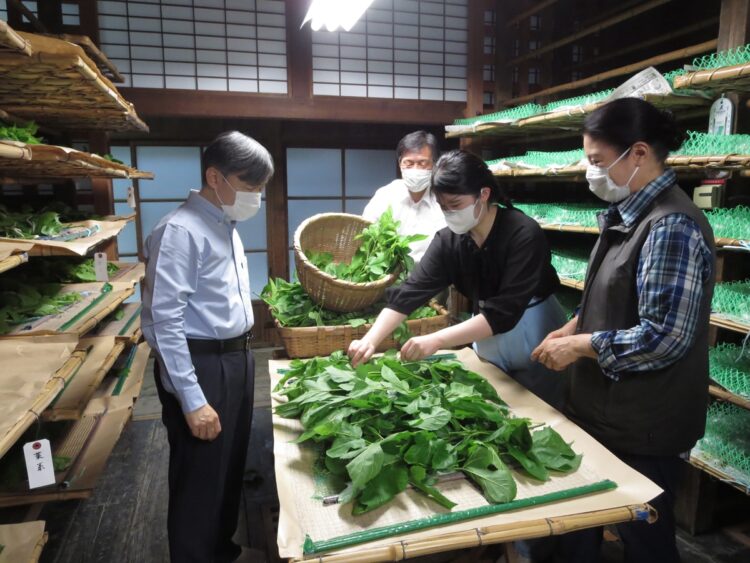 「御給桑」にも参加（写真／宮内庁提供）