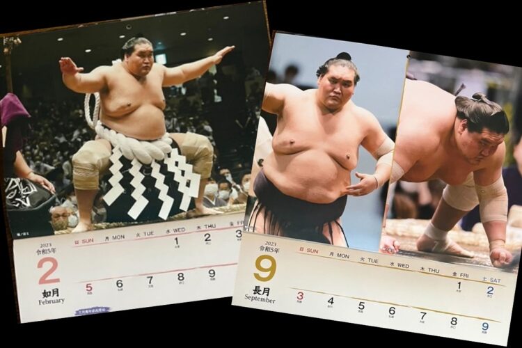 横綱・照ノ富士は2月と9月に大きく登場するが……