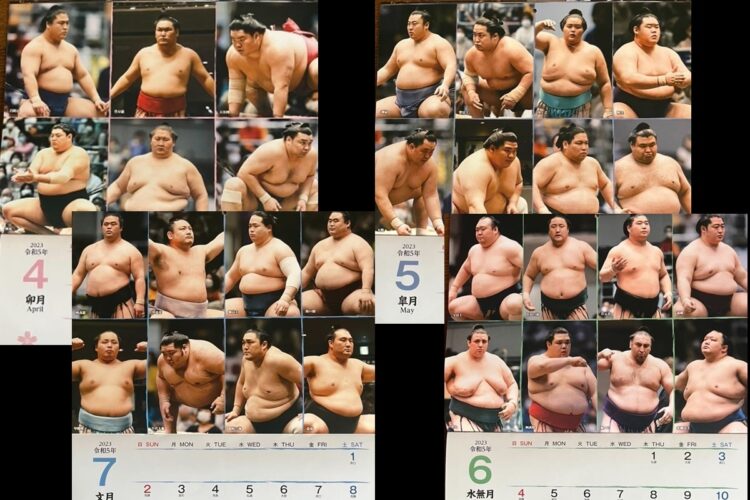 4月のページには、1月場所が出場停止となった逸ノ城の姿も