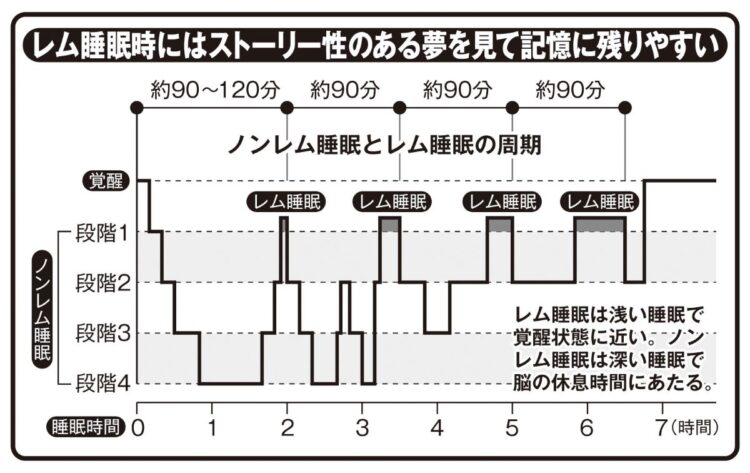 レム睡眠時にはストーリー性のある夢を見る