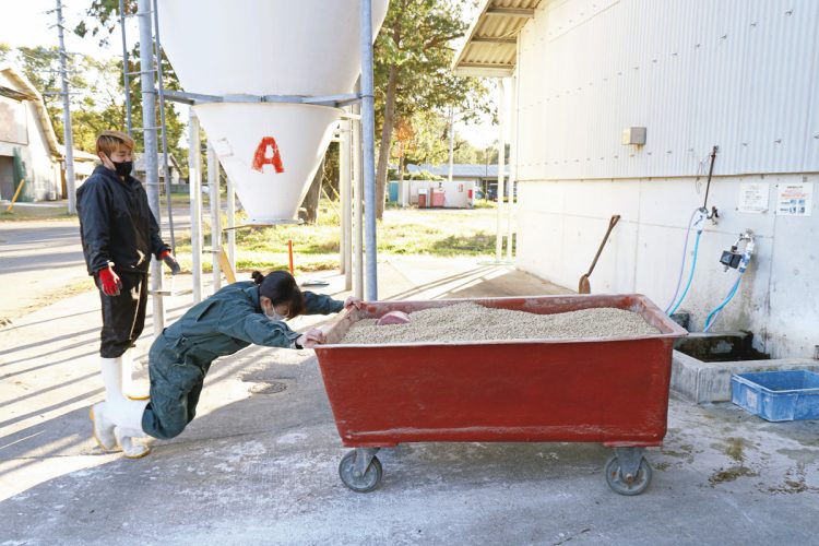 想像以上にハードな飼育作業。息を切らせて飼料を運ぶ学生。「畜産は、動物と触れ合い、現場を経験することが大事です」（小林氏）