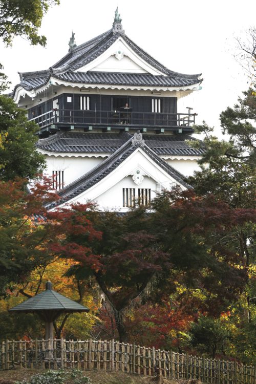 嫁入り後は岡崎城に入ったとされる(時事通信フォト)