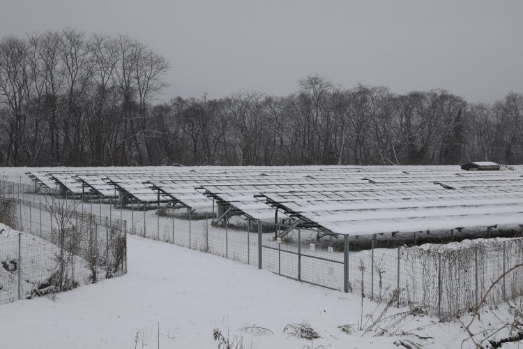 岩手県奥州市にある太陽光パネル