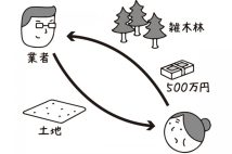 悪質な「原野商法」か… 母が雑木林売却時に他の土地購入をすすめられる詐欺被害に、どう対処すべきか