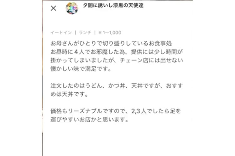 YouTuberらが書いたレビュー内容（YouTubeより。現在は削除済み）