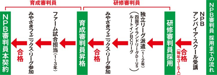 NPB審判員　採用までの流れ