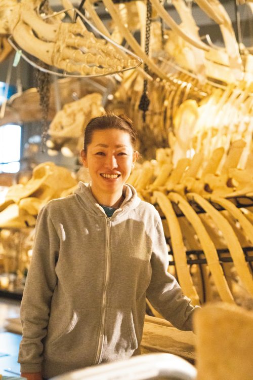 国立科学博物館の標本庫。漂着した鯨の骨を採取し、展示・教育のために標本を作製するのも重要な仕事だ（撮影／惠原祐二）