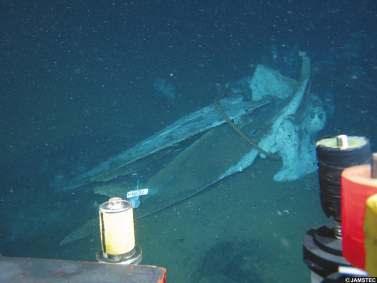 海洋研究開発機構で深海生物を研究する藤原義弘研究員らは相模湾に鯨死骸を沈め、鯨骨生物群集の調査を行なった（写真提供／海洋研究開発機構）