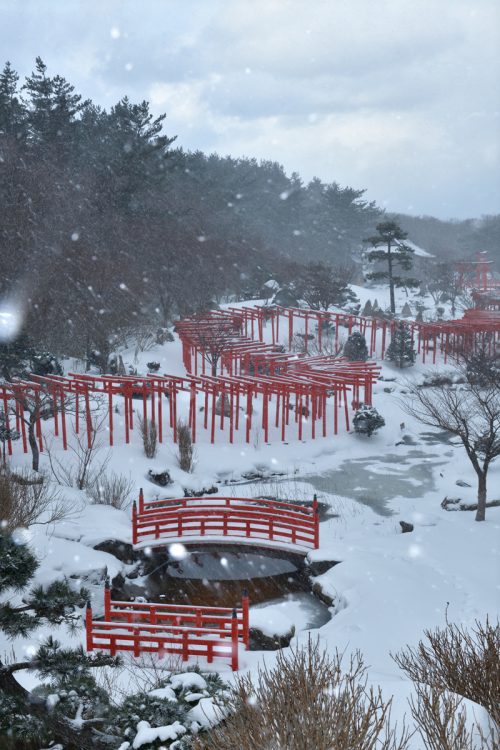 「白と朱色のコントラストは息をのむ美しさ」（写真／アフロ）