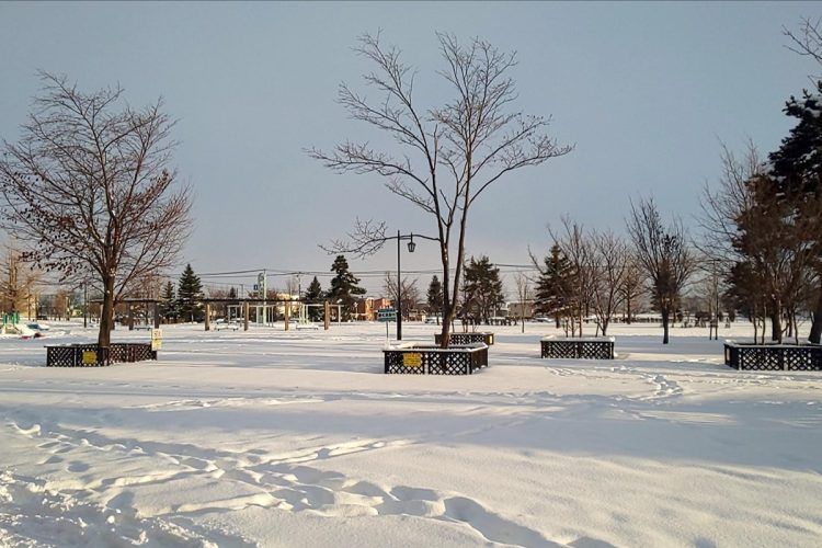 爽彩さんの遺体は公園の雪の中にう埋もれていた