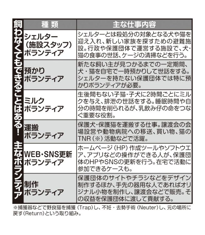 動物保護に関する主なボランティア